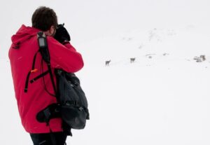 10 consejos para una fotografÃ­a invernal exitosa